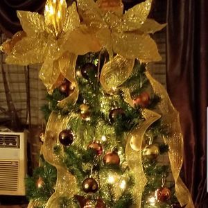 Meet your Posher, Darlene